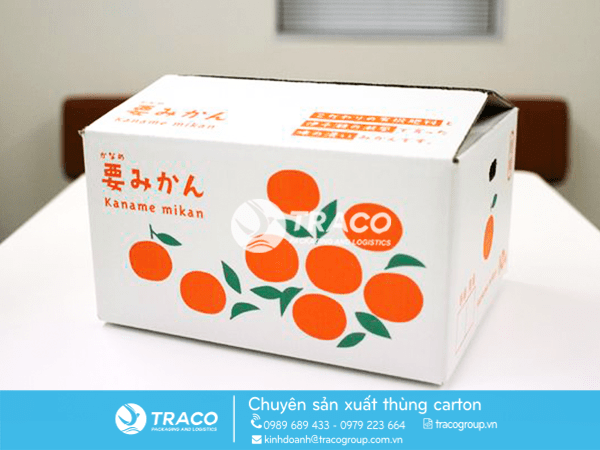 THÙNG CARTON ĐỰNG TRÁI CÂY XUẤT KHẨU